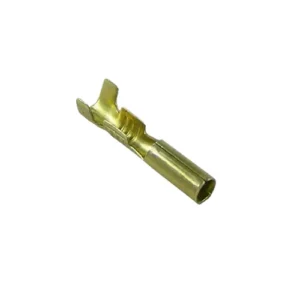 TERMINAL PISTOLA